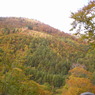 尾瀬の紅葉