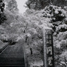 円覚寺