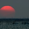 今年の夕陽の見納めです　5完