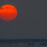 今年の夕陽の見納めです　4