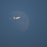 出遅れMoon