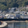 大晦日の日和佐　薬王寺