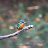 2014-12-06 13-35-26