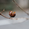 お疲れ様