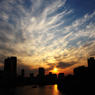 ビルと夕日