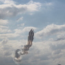 フェス　ブルー　IMG_6435