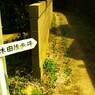 入口