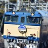 DSC_3045 (2)