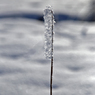 -10℃の朝 - のぼり旗