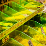 KARATO Market3