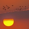 河口の夕暮れ　２完