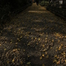 ２０１４年１１月　蘇州⑭