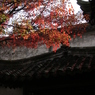 ２０１４年１１月　蘇州⑰