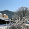 -10℃の朝 - 凍てつく