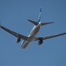 ANA 767-381 ｳｲﾝｸﾞﾚｯﾄ付