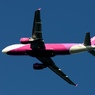 離陸（462）Peach A320-214
