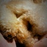 IMG_0042[1]