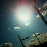 IMG_0212[1]