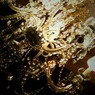 IMG_0115[1]