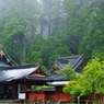 雨の東照宮