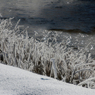 -10℃の朝 - 川霧4