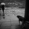 台湾 street #20