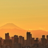 東京山脈と富士山　高さ１１５Mからの夕景＃３