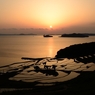 瑞穂の国の夕景　