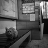 台湾 street #31
