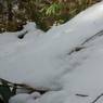 ざらついた雪