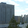 P1010657
