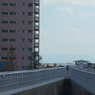 P1010660