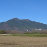 P1010690