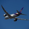 Thai 787-8