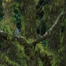 公園にて1-3