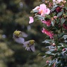 公園にて1-6