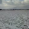 100117-082944