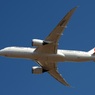 JAL 787-8 