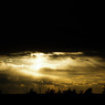 IMGP1696