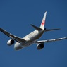 JAL 787-8 