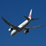 JAL 787-8