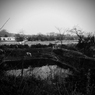 P1176268