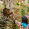 富士花鳥園
