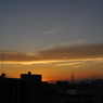 DSC_0296