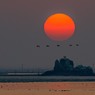 丸い夕陽　５完
