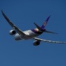 THAI 787-8 出発