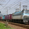 EF66 124貨物列車