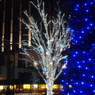 A night in Tokyo 1