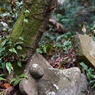 DSC02901