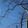 空の交差点(ラインフェルデン)
